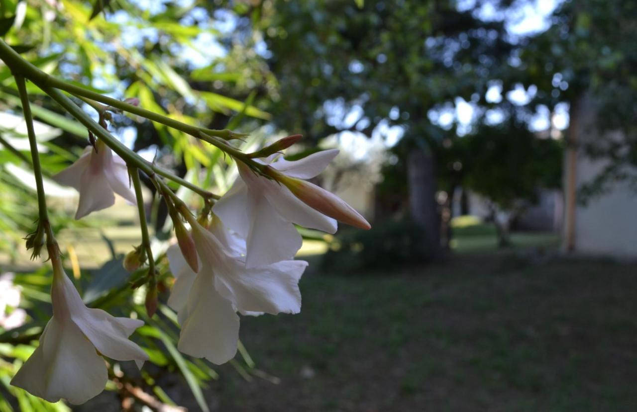 I Tigli Villa Casalbordino Esterno foto