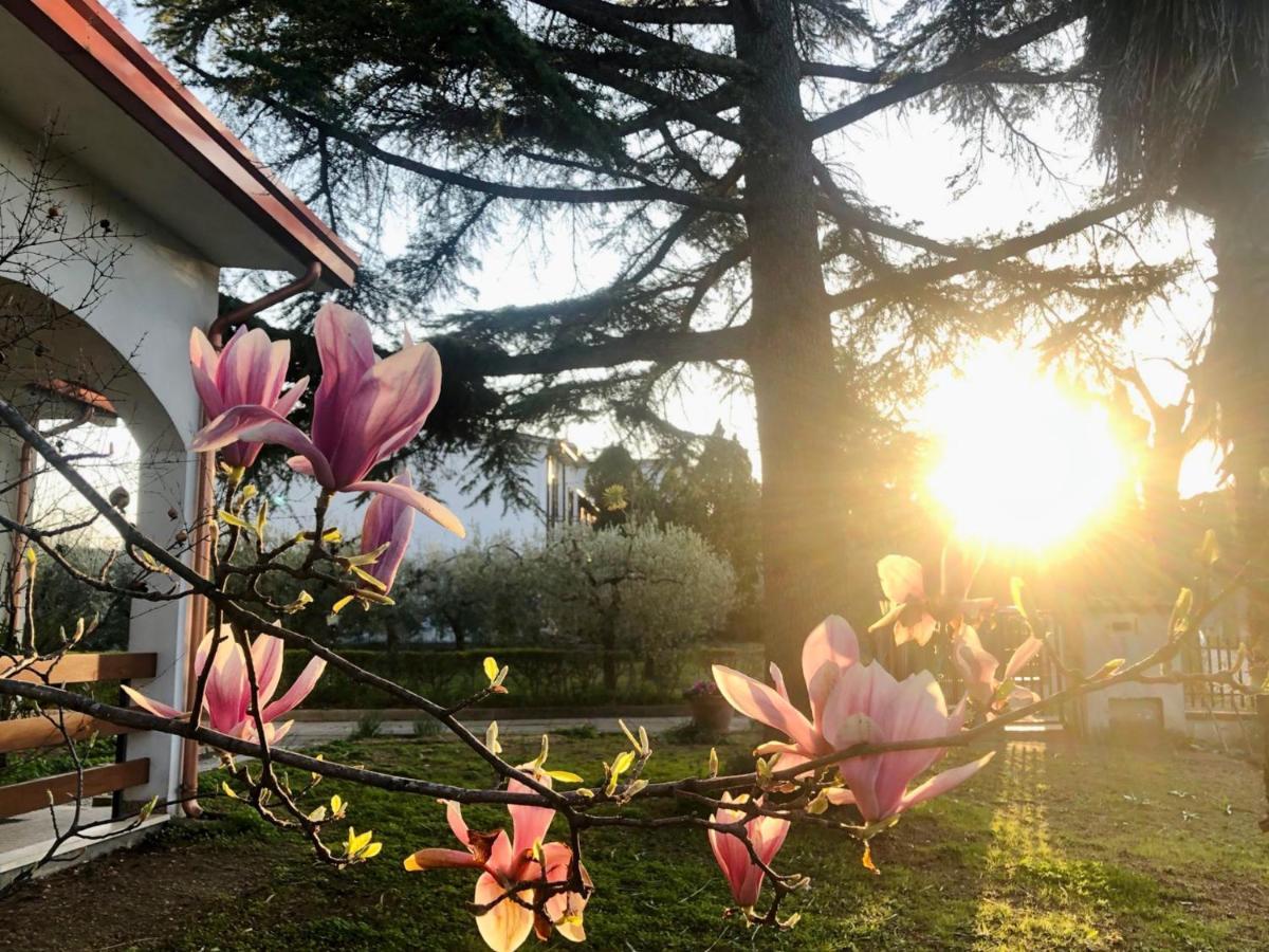 I Tigli Villa Casalbordino Esterno foto